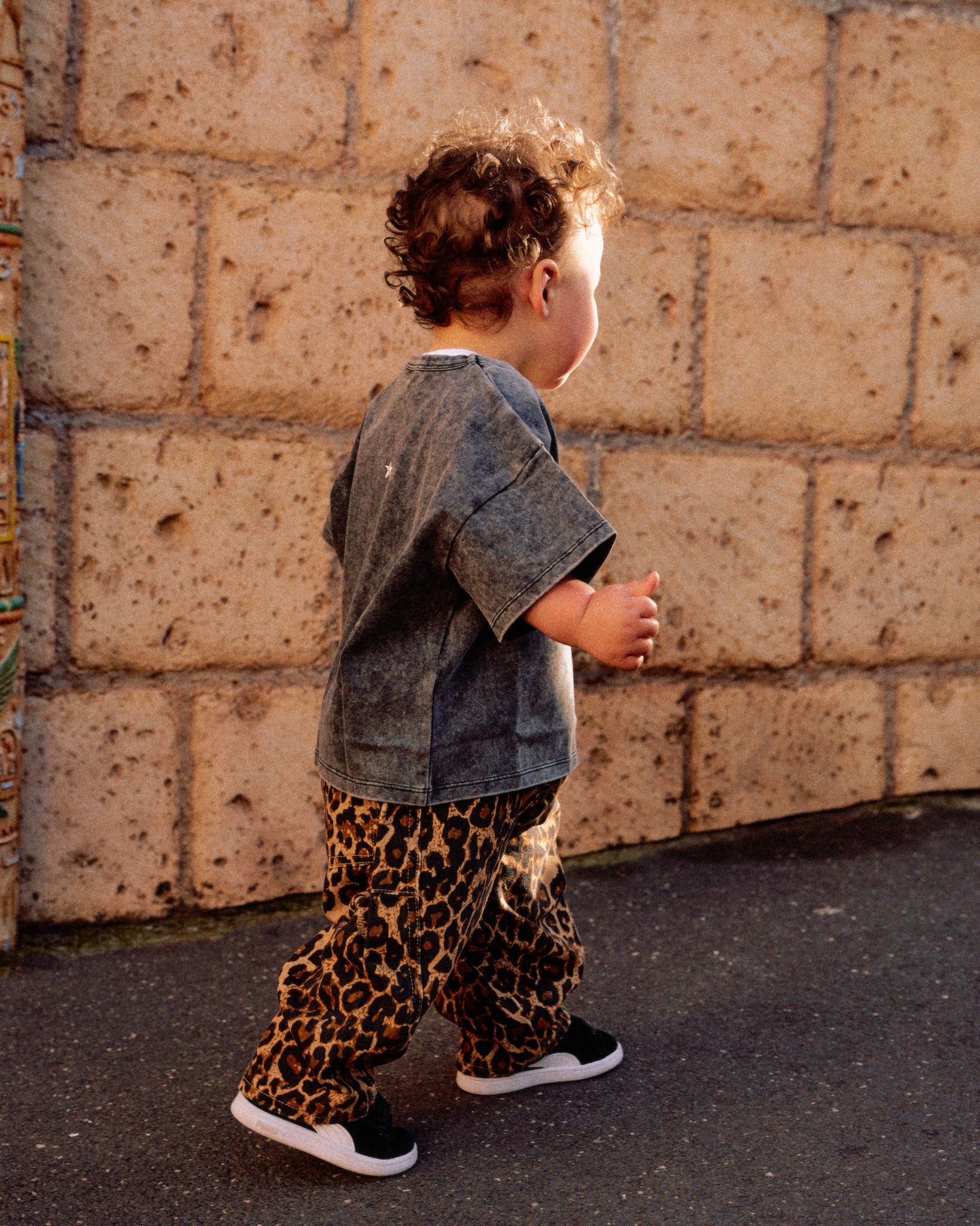 Rapt Denim - Wildcat