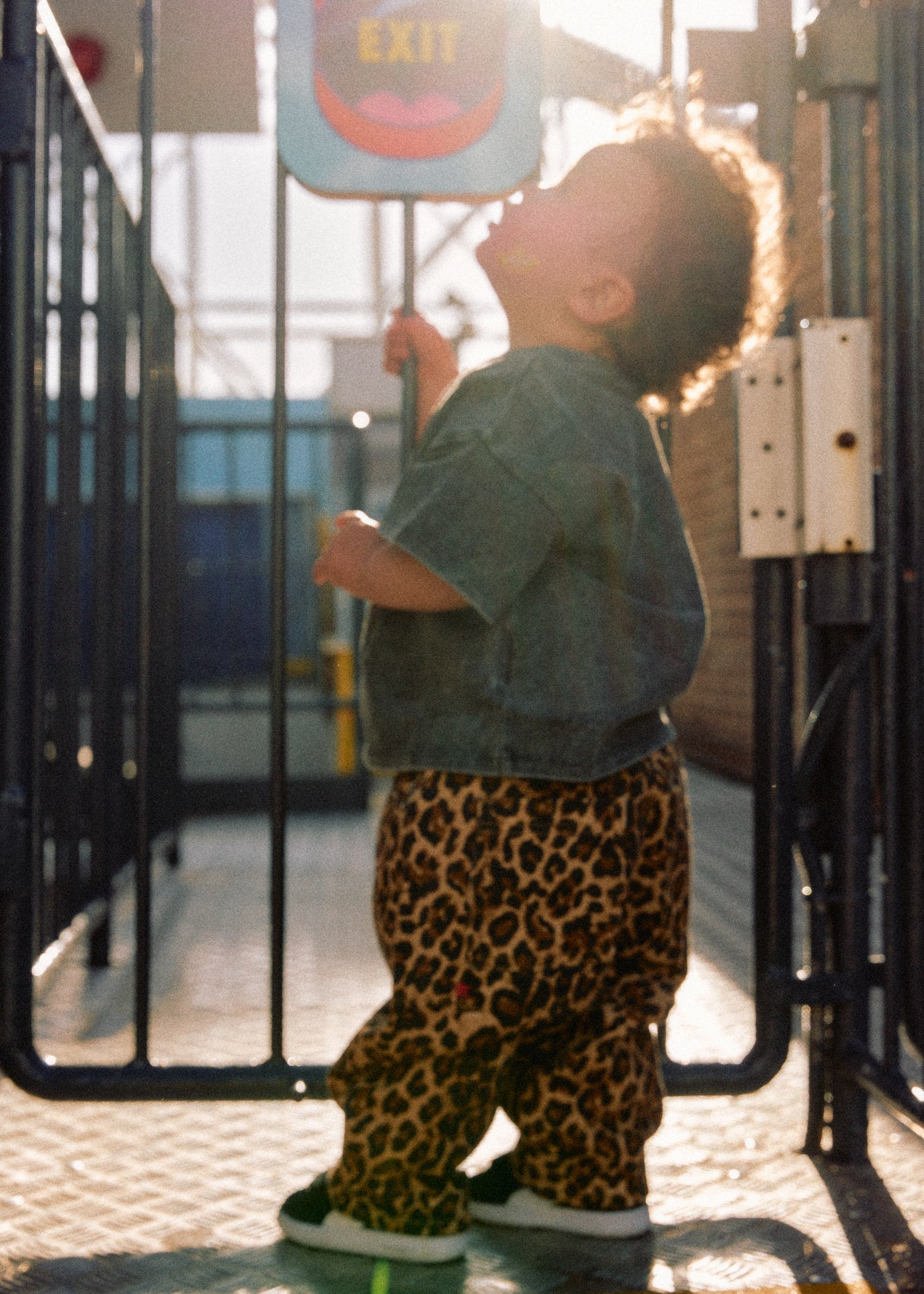 Rapt Denim - Wildcat