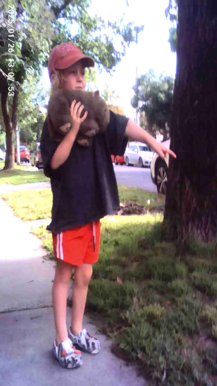 Super Short - Lifesaver